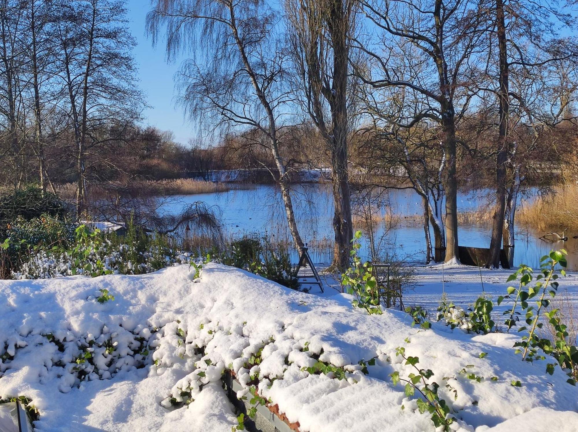Ferienwohnungen Am Schwanensee Plön Eksteriør billede